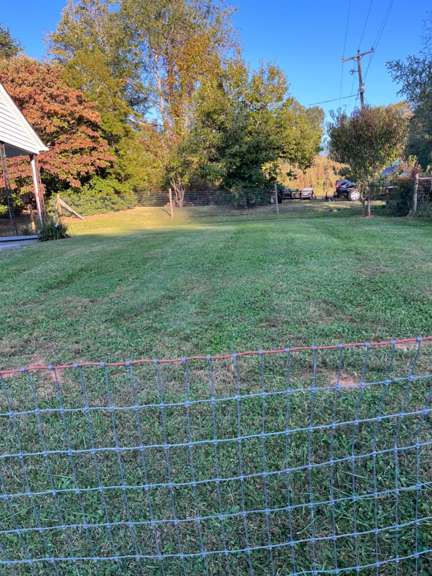 Giggling Creek Cottage - Bedjet! King Sized! Gazebo, 45 Acres, Arcades, Nintendo, More Henry Exterior foto